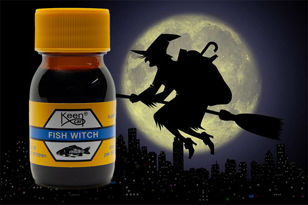 GFish Witch 
